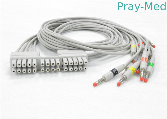 Beli Kabel ECG / EKG Mortara Eli230 Dengan 10 Bahan Rangka Timbal TPU 9293-046-60 pembuatan online