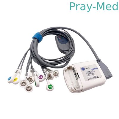 Beli Borsam Holter Ecg Cable 10 Lead Grey 2m Kompatibel Untuk Bs6930 BS6930-3 pembuatan online